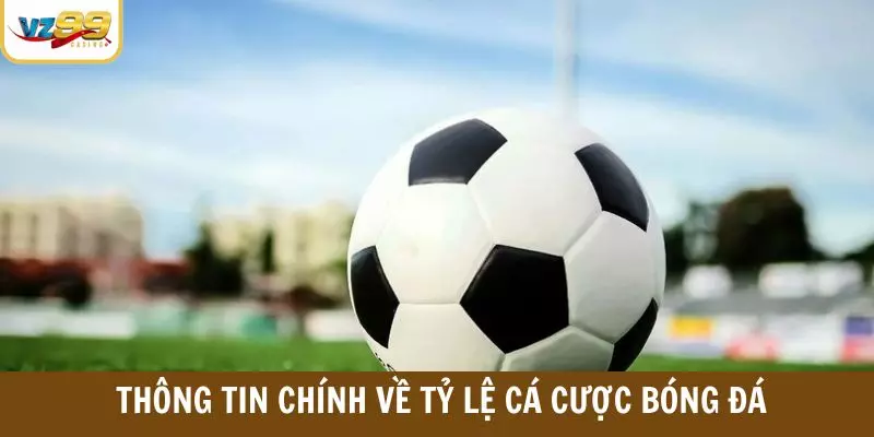 Thông tin chính về tỷ lệ cá cược bóng đá